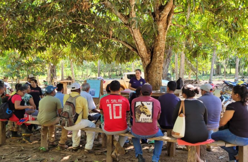 Produtores e extrativistas realizam capacitação em boas práticas na produção da castanha