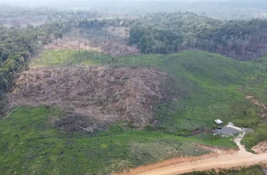 Em um ano, desmatamento cai 4,72% no Acre