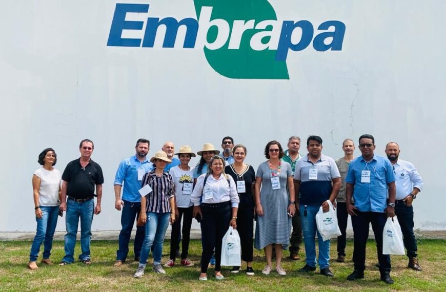 Servidores do Acre participam de capacitação para aumentar a produção de castanha-do-brasil