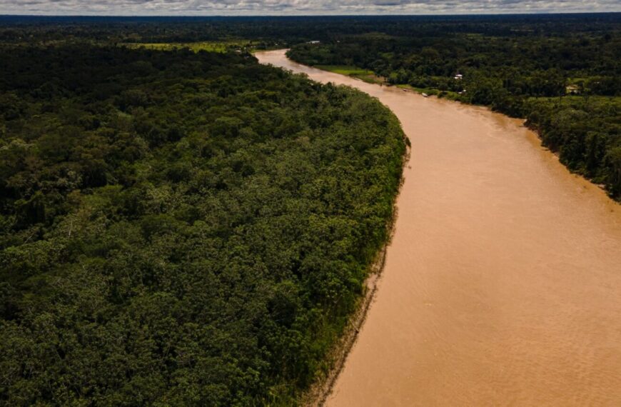 Focos de queimadas no Acre diminuem mais de 70% em quase cinco meses