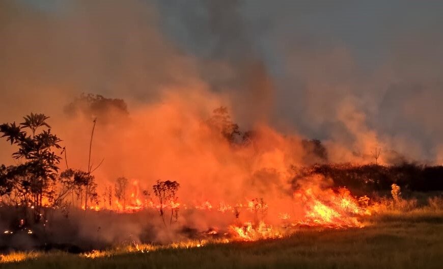 Governo do Acre lança a campanha Respire Vida: Combata as Queimadas e o Desmatamento