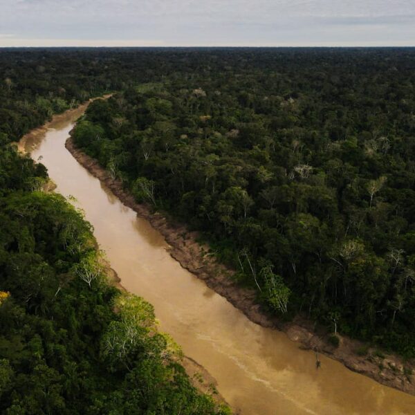 Acre comemora redução significativa de alertas de desmatamento e focos de queimadas