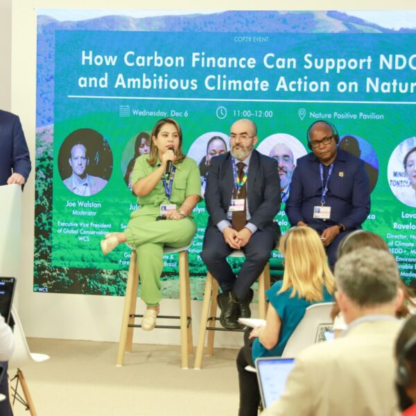 Acre representa estados da Amazônia Legal em painel sobre financiamento climático na COP28