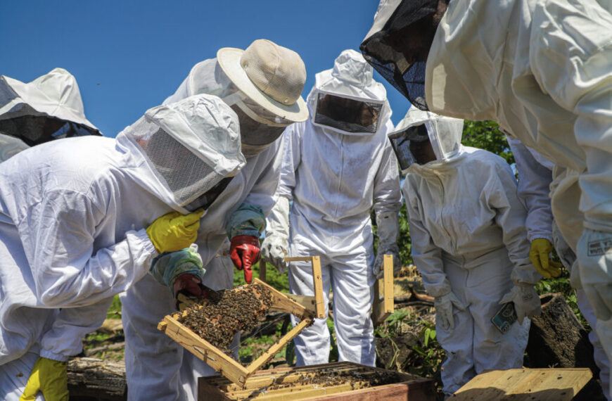 Secretaria de Agricultura capacita produtores da Reserva Extrativista Chico Mendes na criação de abelhas