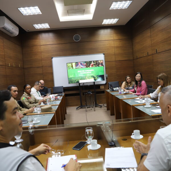 Eixo de Comando e Controle no âmbito do Programa REM Acre realiza reunião de alinhamento e destaca resultados nos combates aos…