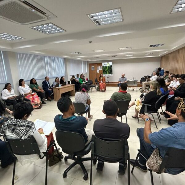 Membros da sociedade civil dialogam sobre fortalecimento da governança com representantes da Alemanha e do Reino Unido