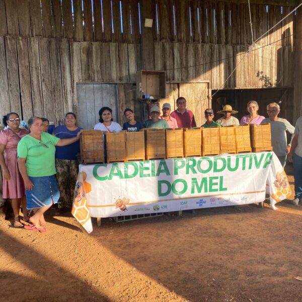 Governo do Acre incentiva a cadeia produtiva do mel com entrega de insumos para produtores