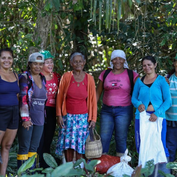 Do murumuru ao mundo, mulheres do Acre moldam a bioeconomia com saber ancestral e cuidado com a floresta