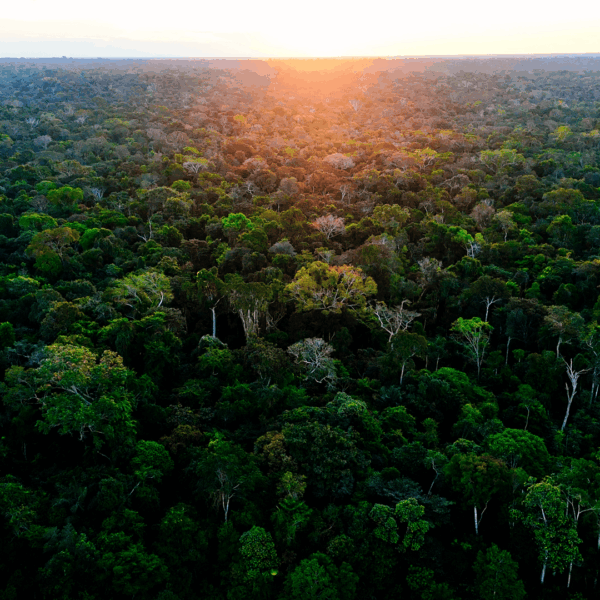 Ações integradas do governo do Acre contribuem para redução de mais de 73% nos focos de queimada em agosto