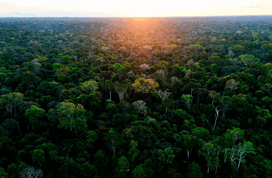 Acre se prepara para levar protagonismo ambiental e debater ações de mitigação dos impactos das mudanças climáticas na COP30, em Belém