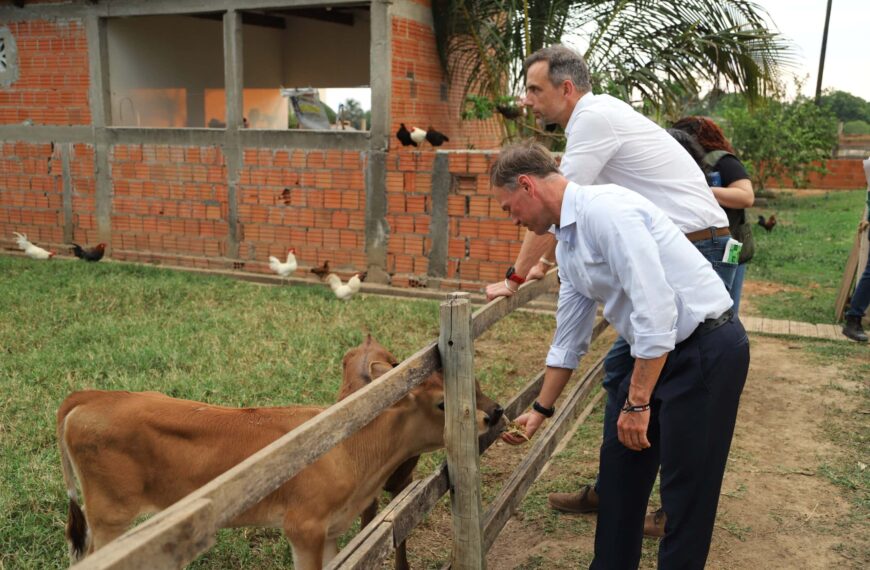 Do pasto degradado ao leite sustentável: a transformação da propriedade de bovinocultura com apoio do REM Acre