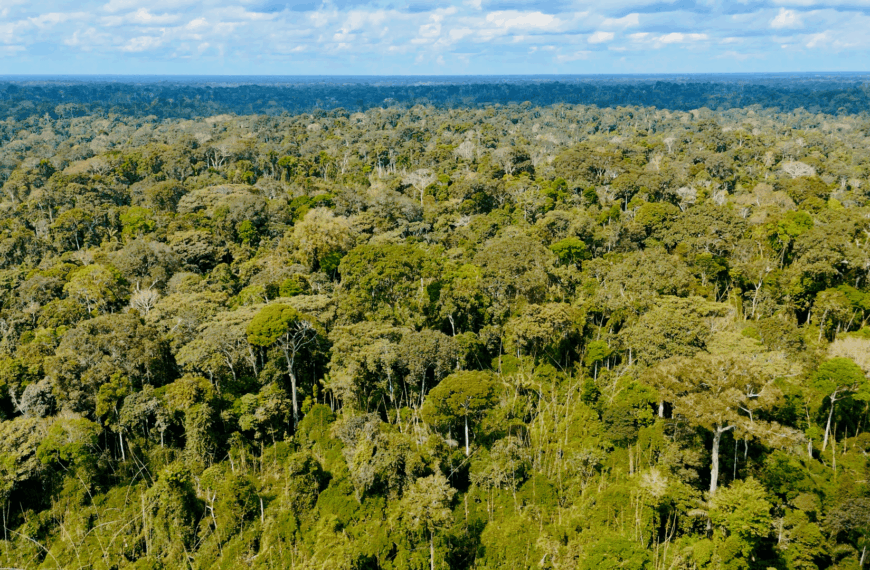 Acre reduz focos de queimadas em 78% e fortalece combate aos crimes ambientais