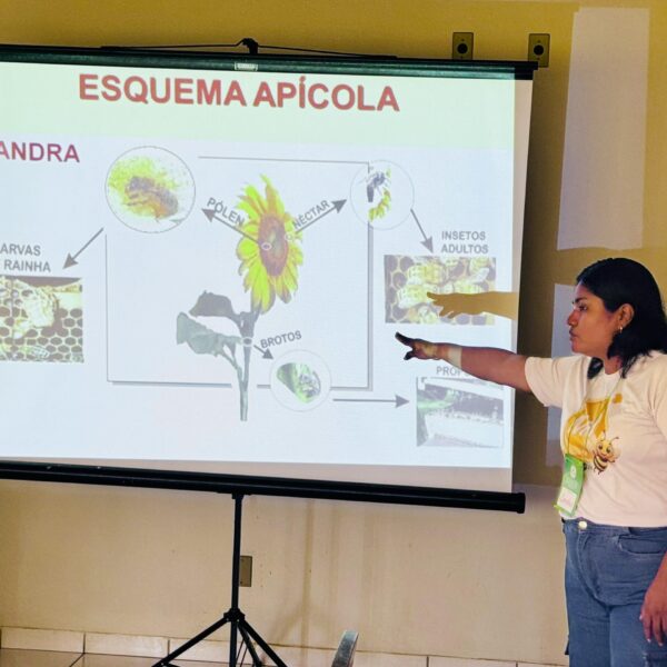 Governo do Acre realiza curso para capacitar produtores de mel do Juruá e fortalecer cadeia apícola na região