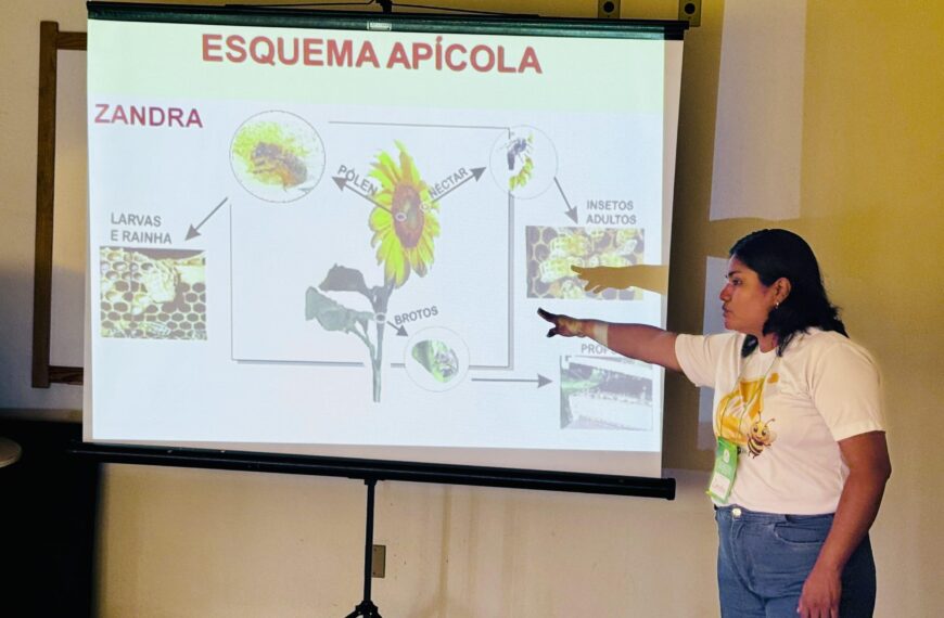 Governo do Acre realiza curso para capacitar produtores de mel do Juruá e fortalecer cadeia apícola na região