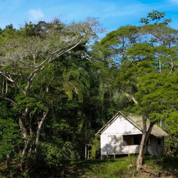 Governo do Acre lança edital de apoio a projetos de recuperação de áreas degradadas e enfrentamento aos extremos climáticos