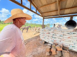 Governo do Acre beneficia mais de 230 produtores com insumos para fortalecimento da pecuária leiteira