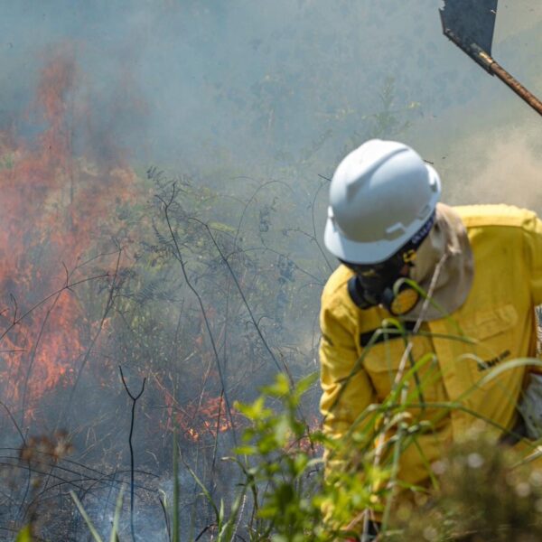 Governo prorroga o prazo para recursos da homologação das inscrições de brigadistas comunitários