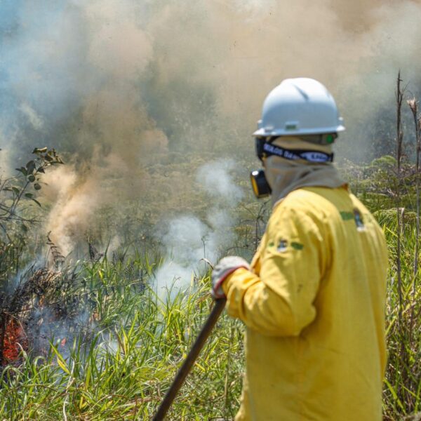 Governo do Acre divulga resultado da 1ª fase do processo seletivo para brigadistas comunitários