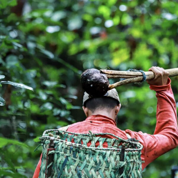 Com investimentos de R$ 4,5 milhões, inscrições para edital de apoio a projetos de recuperação de áreas degradadas e enfrentamento aos&hellip;