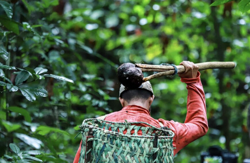 Com investimentos de R$ 4,5 milhões, inscrições para edital de apoio a projetos de recuperação de áreas degradadas e enfrentamento aos extremos climáticos são prorrogadas