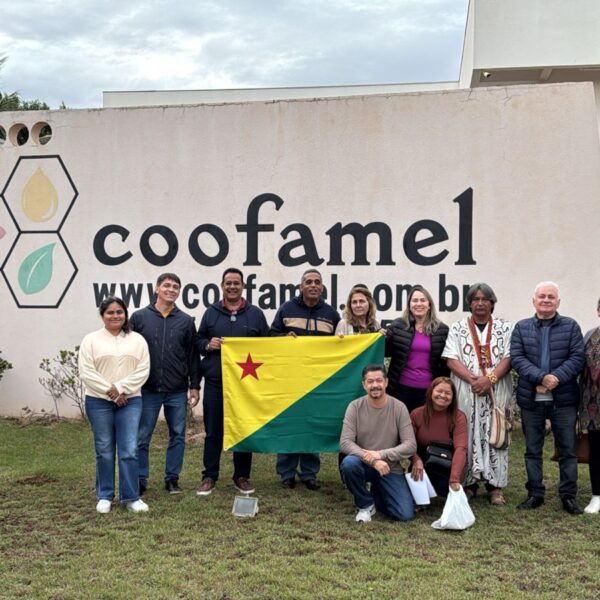 Acre fortalece cadeia produtiva do mel em congresso nacional de apicultura e meliponicultura
